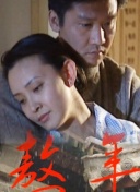 av收藏家